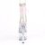Pleaser STARDUST-1018C-2RS Plateau Stiefeletten Transparent Rosa EU-35 / US-5