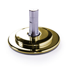 X-Pole Bodenplatte XPert Gold