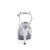 Fabulicious FLAIR-419 Gothic Sandaletten Clear Glitter Silber EU-42 / US-12