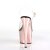 Pleaser Sandalette ADORE-708 Transparent Rose-Gold Chrom EU-36 / US-6