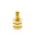 X-Pole XPert (NXN) Gold 45 mm B-Ware