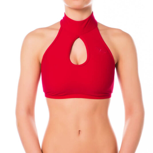 Dragonfly Top Terri L Rot