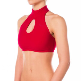 Dragonfly Top Terri L Rot