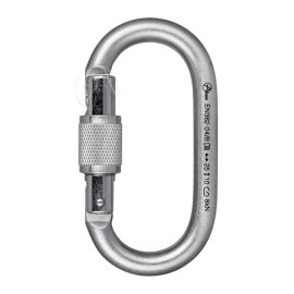 Carabiner with Screw Locking Device Silver 25 kN