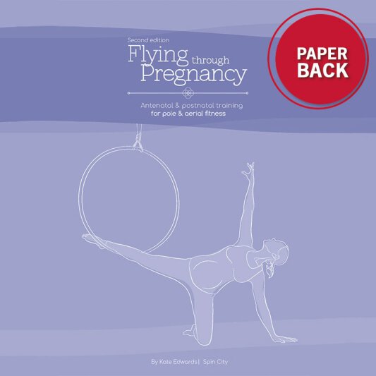Buch Flying Through Pregnancy - Englisch