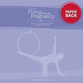 Book Flying Through Pregnancy