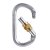 Carabiner with Screw Locking Device Silver 30 kN
