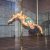 X-Pole Competition Stange Messing