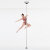 Lupit Pole Studio Champion Pole Stainless Steel 45 mm