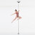 Lupit Pole Studio Champion Stange Edelstahl 45 mm