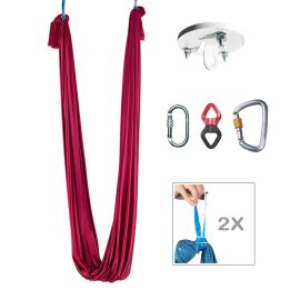 PoleSports Aerial Yoga Hammock incl. Ceiling Mount and...
