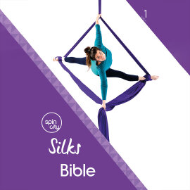 Buch Silks Bible 1. Auflage - Englisch