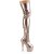 Pleaser ADORE-3000HWR Plateau Overknee Boots Holo Rose Gold