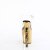 Pleaser RAPTURE-808-LT Plateau Sandaletten Transparent Gold