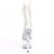 Pleaser ADORE-1021C Plateau Stiefeletten Transparent EU-36 / US-6