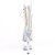 Pleaser ADORE-1021C-2 Plateau Stiefeletten Strass Transparent EU-39 / US-9