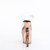 Pleaser RAPTURE-808-LT Plateau Sandaletten Transparent Rose-Gold EU-36 / US-6