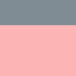 Lachs / Grau